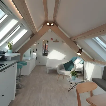 Homey -