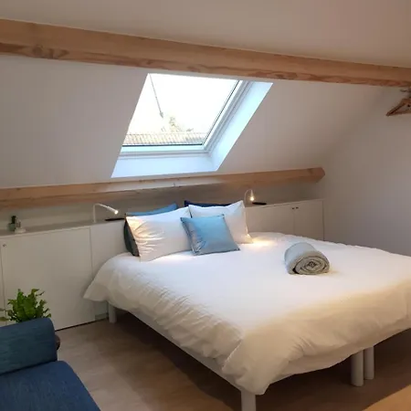 Homey - Aparthotel